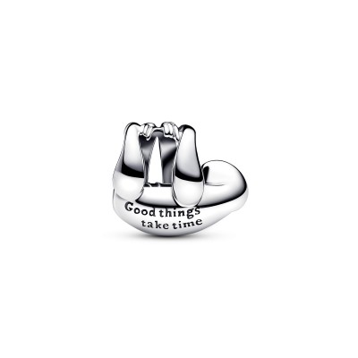 Charm Bradipo 2