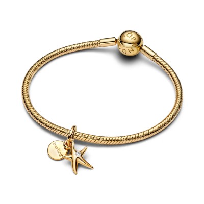 Charm Pendente Stella Marina "Darling" 2