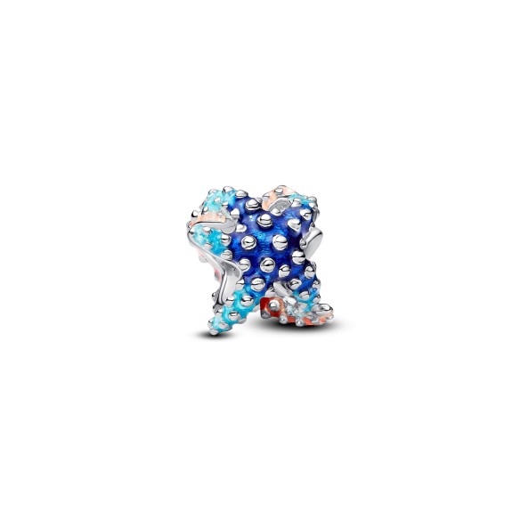 Charm Stella Marina Colorata