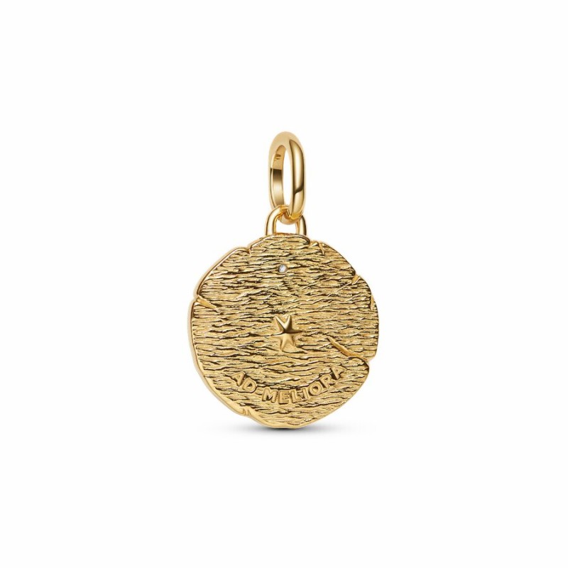 Charm Medallion Frecce "Ad Meliora"