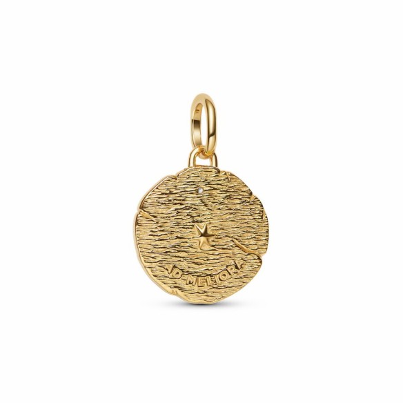 Charm Medallion Frecce "Ad Meliora"