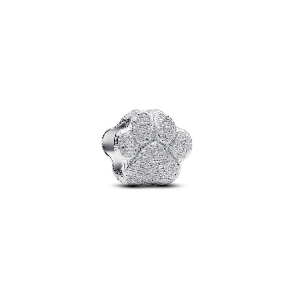 Mini Charm Zampa effetto diamantato