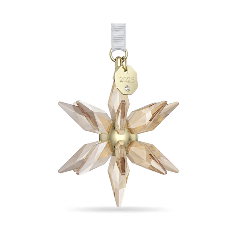 Decorazione STELLA 3D 2025