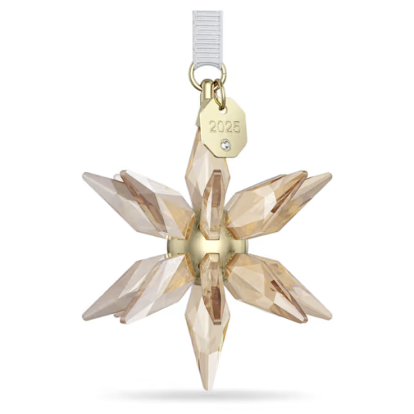 Decorazione STELLA 3D 2025