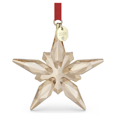 Decorazione Festive 2025