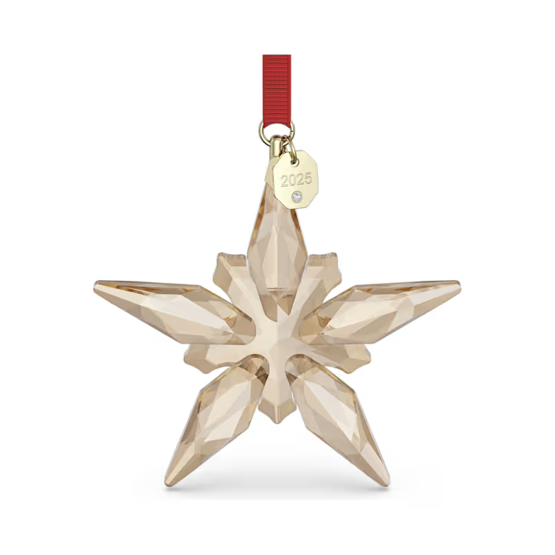 Decorazione Festive 2025