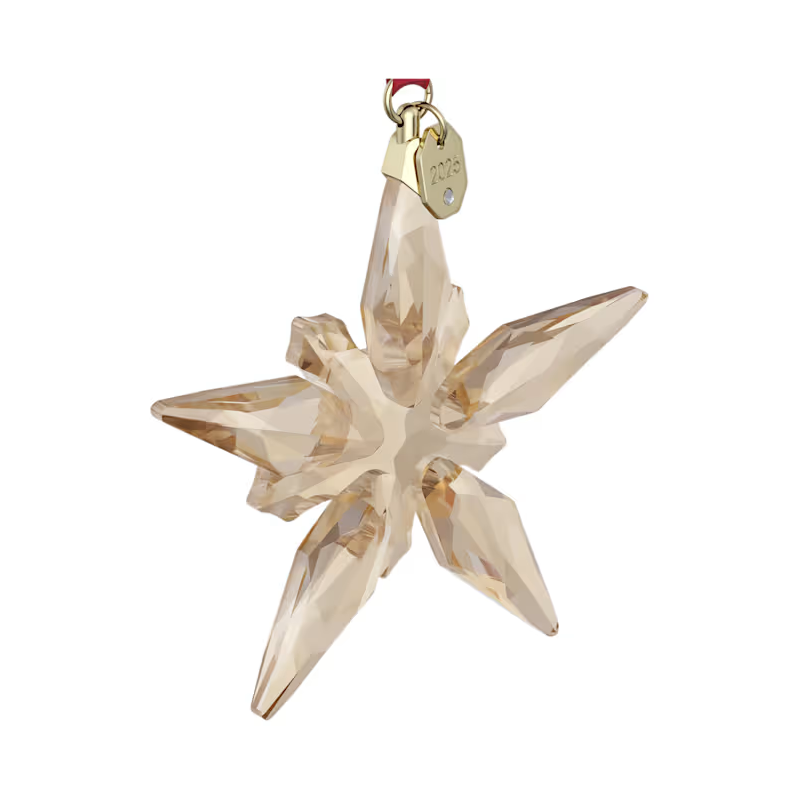 Decorazione Festive 2025