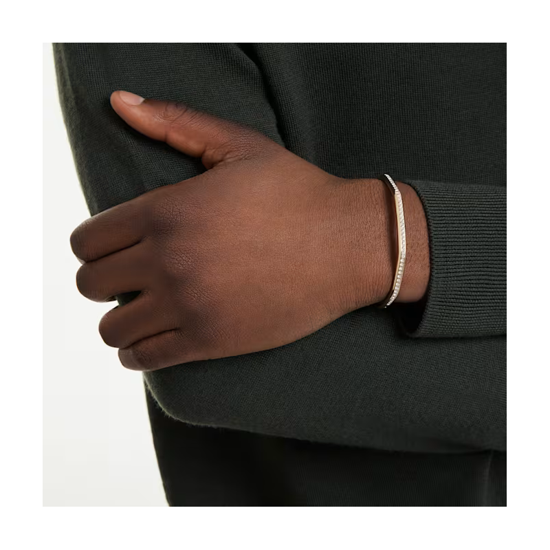 Bracciale rigido Dextera