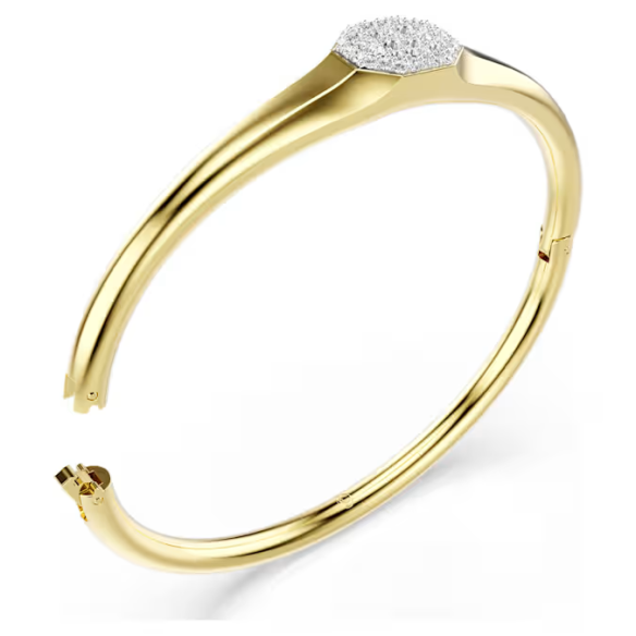 Bracciale rigido Dextera