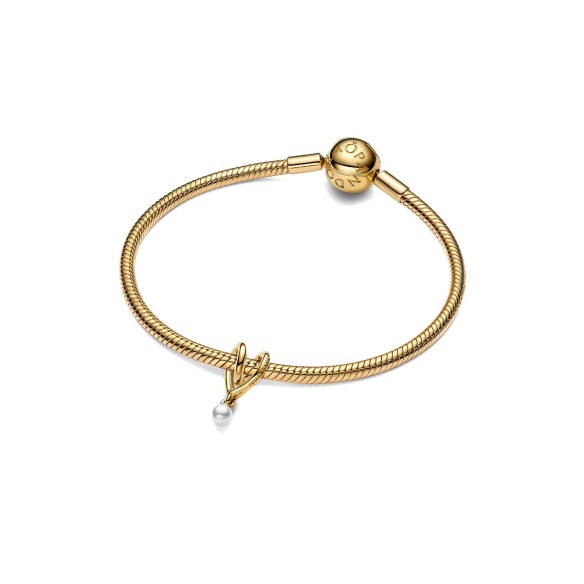 Charm Famiglia, Dove l'Amore è Infinito
