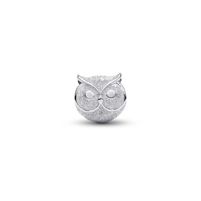 Mini Charm Gufo effetto diamantato