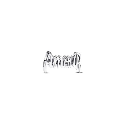 Charm "Amour"