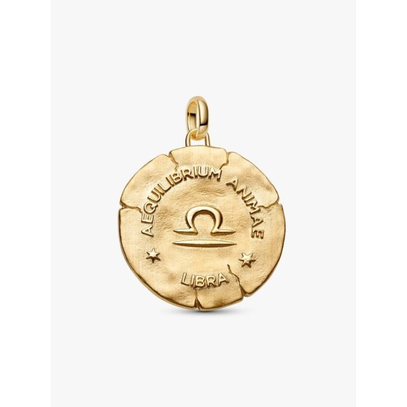 XL Libra sterling silver and 14k gold-plated medallion with clear cubi