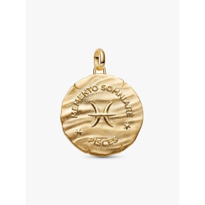 XL Pisces sterling silver and 14k gold-plated medallion with clear cub 2