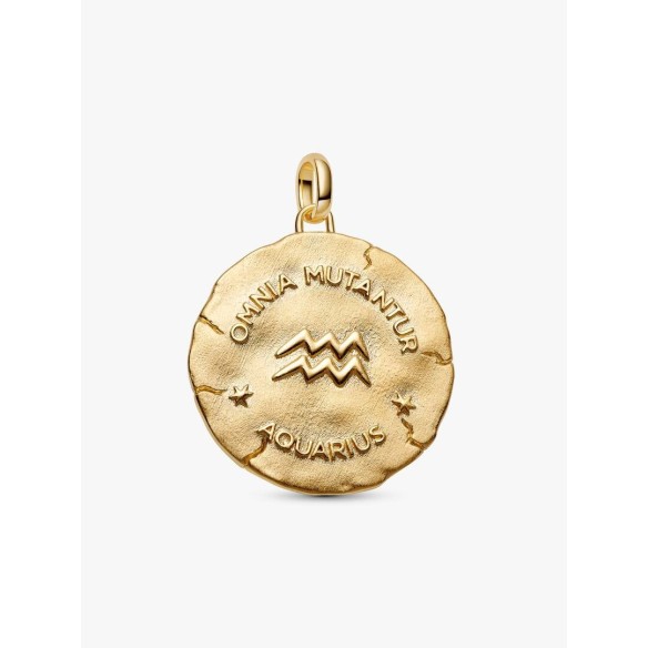 XL Aquarius sterling silver and 14k gold-plated medallion with clear c