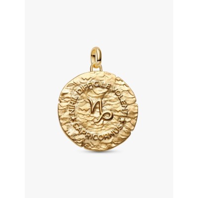 XL Capricornus sterling silver and 14k gold-plated medallion with clea 2
