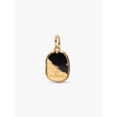 Owl 14k gold-plated medallion with black crystal 2