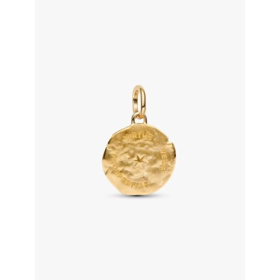 Wheat 14k gold-plated medallion with clear cubic zirconia 2