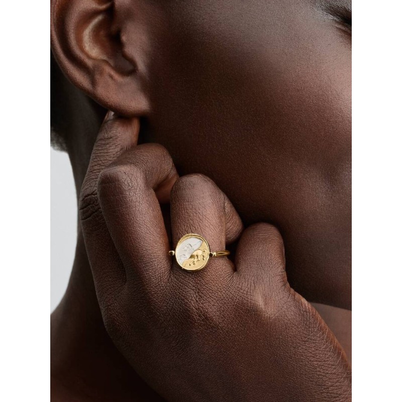 Pegasus 14k gold-plated spinnable ring with golden white bioresin man-