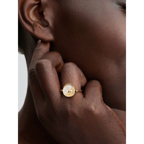 Pegasus 14k gold-plated spinnable ring with golden white bioresin man-