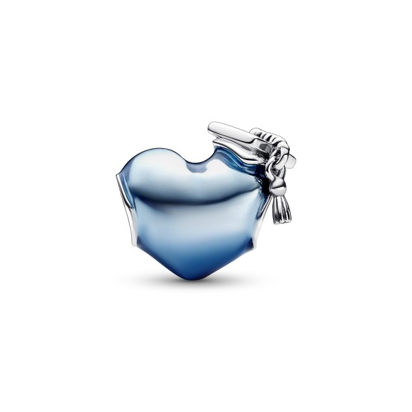Charm Laurea 2023